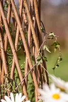 Woven Willow Cone Obelisk