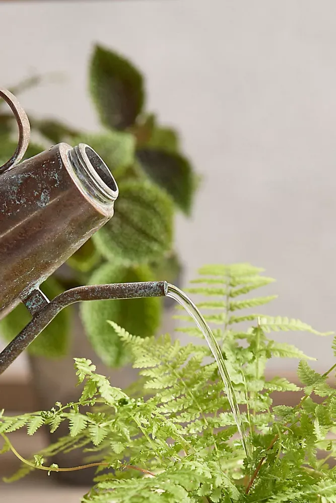 Antiqued Watering Can + Mister