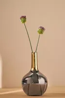 Antoine Vase