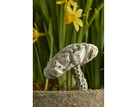 Brain Coral Mushroom Concrete Pick