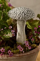 Brain Coral Mushroom Concrete Pick