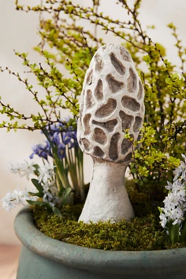 Concrete Morel Mushroom