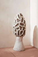 Concrete Morel Mushroom