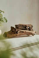 Driftwood, Horizontal