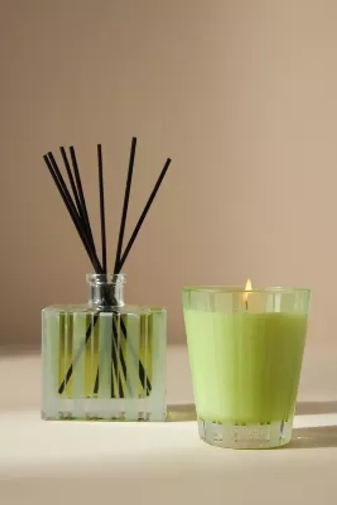 Nest Fragrances Lime Zest & Matcha Reed Diffuser
