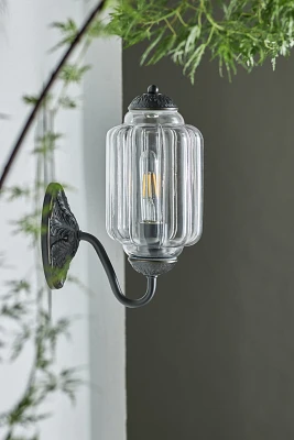 The Eloise Scallop Glass Indoor/Outdoor Sconce Wall Light