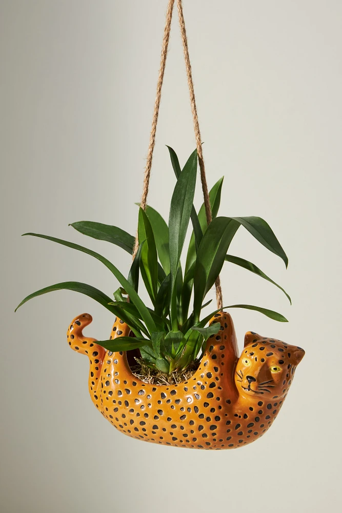 Cheetah Hanging Planter