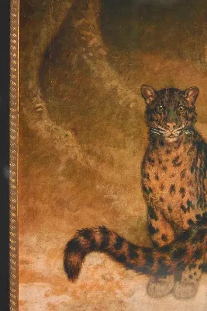 Clouded Leopards Wall Art