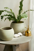 Ceramic Sphere Pot