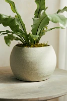 Ceramic Sphere Pot