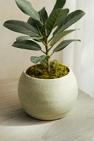 Ceramic Sphere Pot