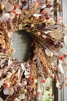 Preserved Wild Jubilee Wreath