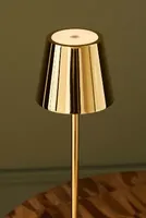 Poldina Pro Micro Gold Rechargeable LED Portable Table Lamp