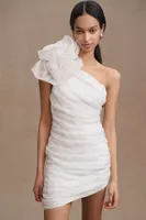 BHLDN Louisa One-Shoulder Rosette Mini Dress