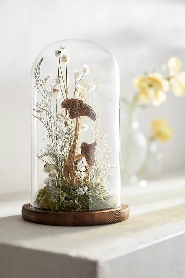 Fresh Hanging Airplant Terrarium Garden Kit