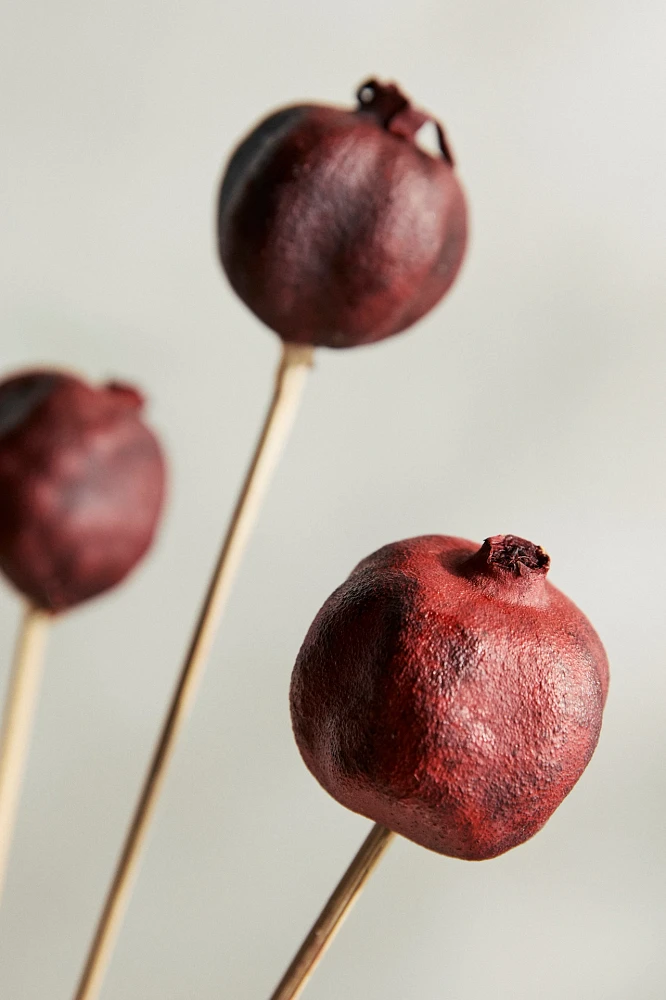 Preserved Pomegranate Bunch