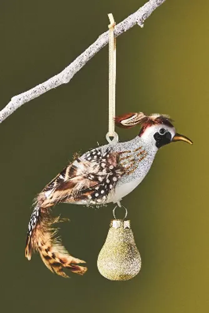 Glass Hummingbird Ornament