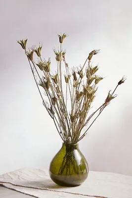 Preserved Nigella Bunch