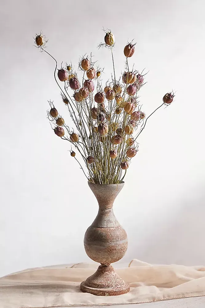 Preserved Pampas Grass, Black - Terrain