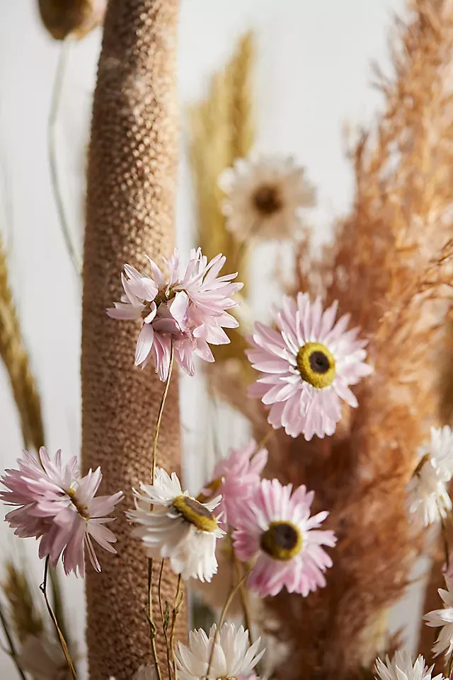 Dried Palm, Protea, Queen Anne's Lace Bouquet - Terrain