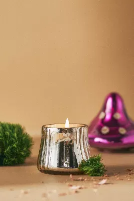 Fungi Woody Mistletoe & Moss Glass Candle