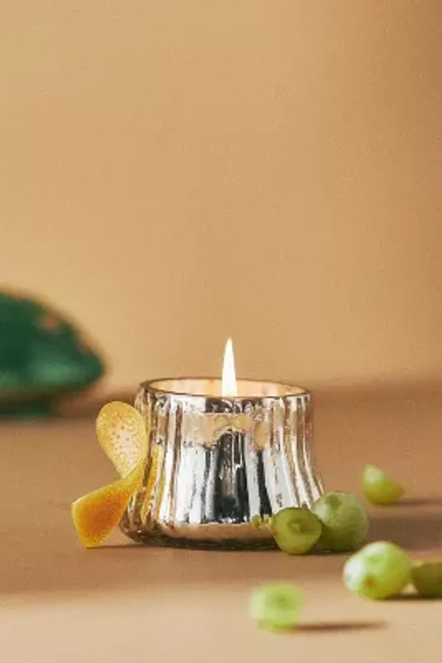 Textured Glass Candle, Grapefruit & Pine - Terrain