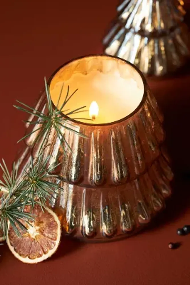 Hallorm Woody Blood Orange & Conifer Glass Tree Candle
