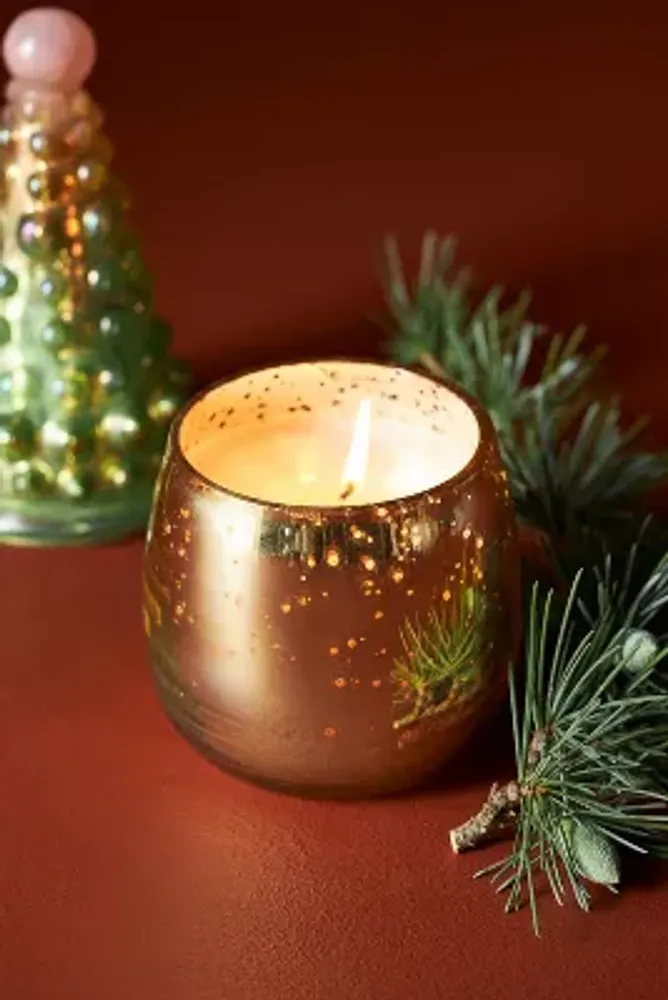 Lonni Treetop Woody Fresh Balsam & Cedarwood Glass Candle