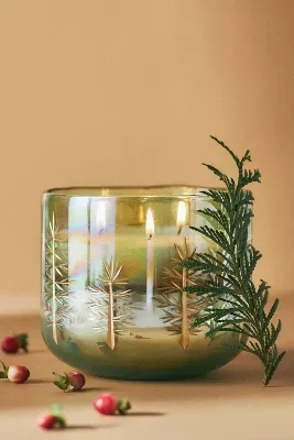 Gilded Evergreen Woody Fresh Balsam & Cedarwood Glass Candle