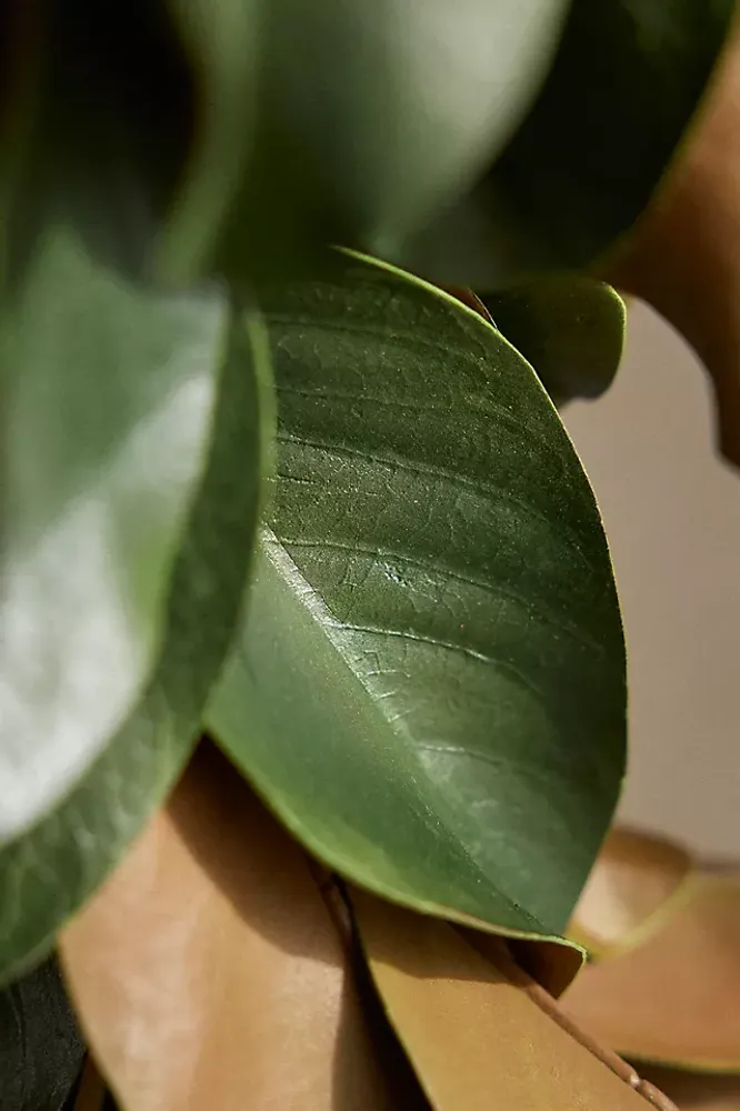 Faux Magnolia Leaf Garland