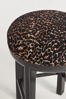 Molly Stool