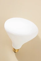 Tala Noma E26 6W Bulb