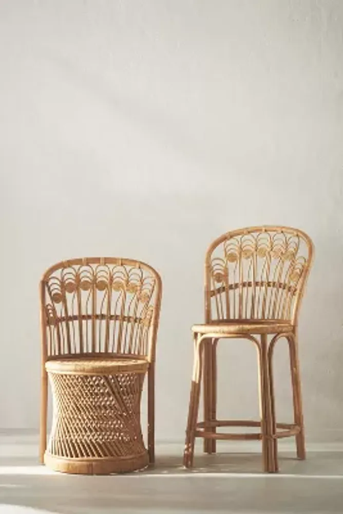 Peacock Rattan Dining Chairs, Set of 2