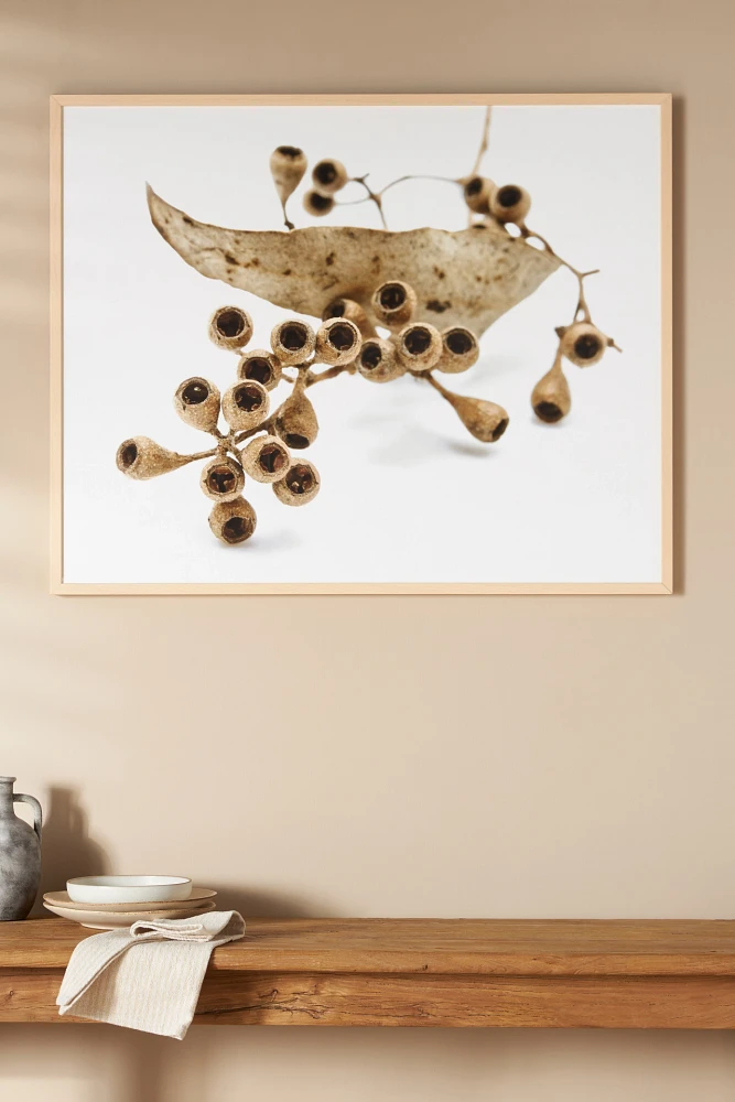 Lemon Eucalyptus Wall Art