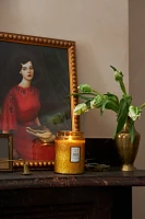 Voluspa Japonica Baltic Amber Glass Jar Candle​