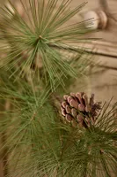 Faux Pine Cone Garland