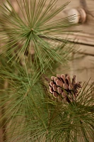 Faux Pine Cone Garland