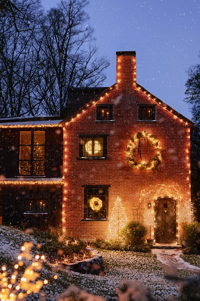 Stargazer Illuminated LED Vine Wreath