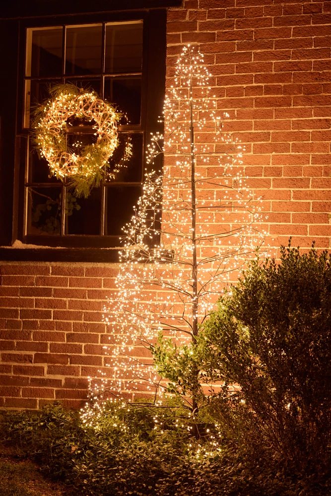 Stargazer Illuminated LED Vine Wreath