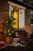 Stargazer Illuminated LED Vine Wreath