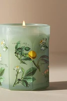 Apothecary 18 Floral Sol Tobac Small Glass Candle