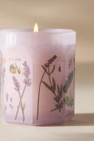 Apothecary 18 Fresh Lavender Balsam Small Glass Candle