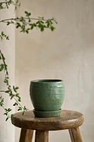 Evergreen Ceramic Pot + Saucer Set