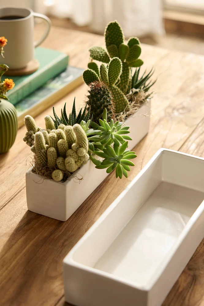 Ceramic Trough Planter, Narrow