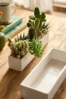 Ceramic Trough Planter, Narrow