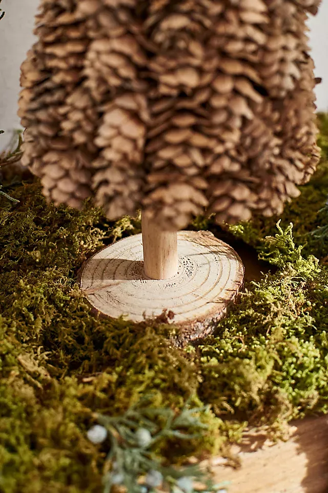 Frosted Pine Cone Ball Ornament