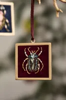 Framed Beetle Ornaments, Set of 3