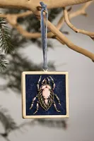 Framed Beetle Ornaments, Set of 3