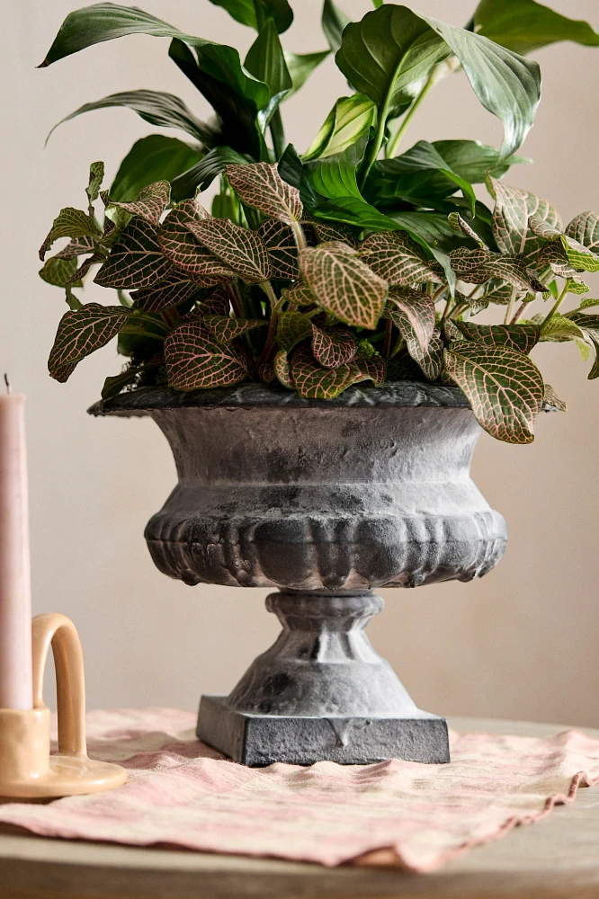 Low Cast Iron Urn Planter