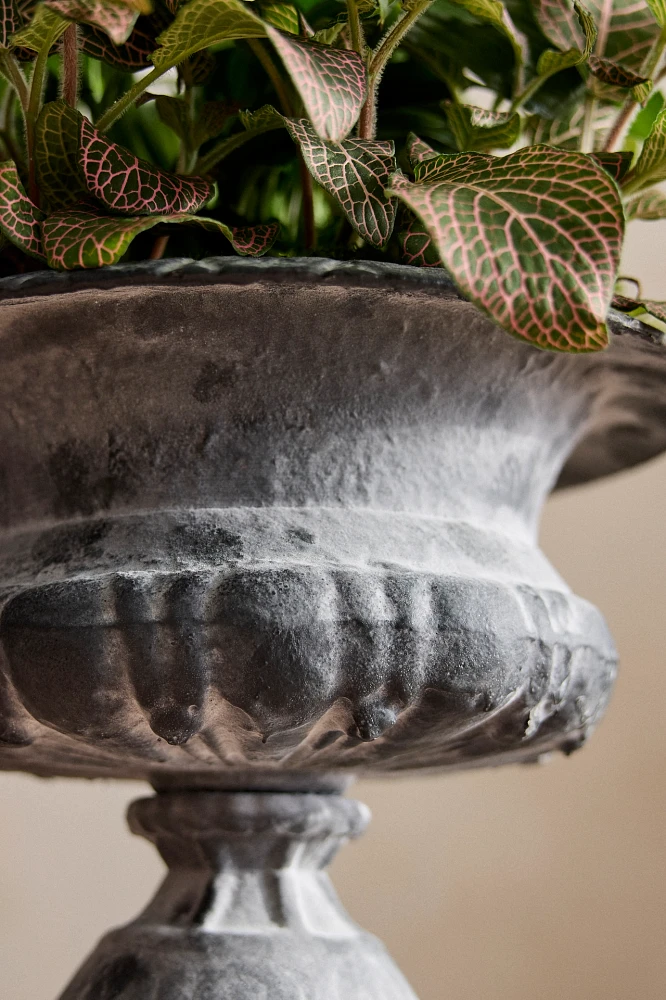 Low Cast Iron Urn Planter